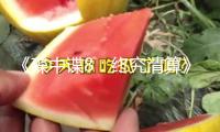 《碟中諜8：終究清算》票房口碑雙豐收！打響暑期檔電影熱潮榜首槍！