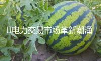 ?電力交易市場革新潮涌：咨詢及保管業(yè)務(wù)量激增 AI重構(gòu)各環(huán)節(jié)