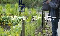 “兩高一部”發(fā)布《關(guān)于處理拒不執(zhí)行判定、裁決刑事案件若干問題的定見》