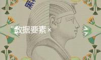 “數(shù)據(jù)要素×”行動取得積極進展