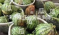 “未產(chǎn)生任何突擊事情” 胡塞裝備否定其高級官員遭襲