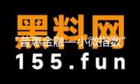 “普惠金融—小微指數(shù)”第28期效果發(fā)布：首季小微企業(yè)融資需求明顯提高