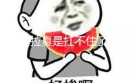 “阿拉真是扛不住了！”滬上聞名渠道忽然停擺，超量“裝飾貸”深套一大波人