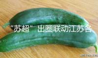 “蘇超”出圈聯(lián)動江蘇各地文旅：省內景區(qū)預定同比增加305%