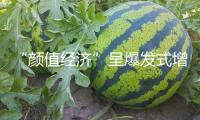 “顏值經(jīng)濟(jì)”呈爆發(fā)式增長，平臺推新服務(wù)直指市場信息雜亂、效果無保障等痛點(diǎn)