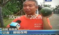 “30cm”“20cm”漲停 智駕大迸發(fā) 大音訊密布襲來