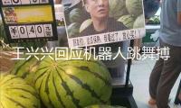 王興興回應(yīng)機(jī)器人跳舞搏斗：在完成終極目標(biāo)前 先發(fā)生一部分商業(yè)價(jià)值