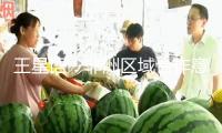 王星語：非洲區(qū)域合作意向帶來三點(diǎn)提示