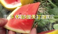 電影《黃沙漫天》官宣定檔5月29日 小沈陽領(lǐng)銜“心眼子喜劇”賽道