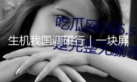 生機我國調(diào)研行｜一塊屏幕背面的“制造業(yè)朋友圈”