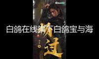 白鴿在線旗下白鴿寶與海南航空達(dá)到協(xié)作