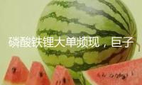 磷酸鐵鋰大單頻現(xiàn)，巨子鎖單加快職業(yè)“洗牌”