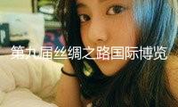 第九屆絲綢之路國際博覽會：文旅交融促進消費晉級