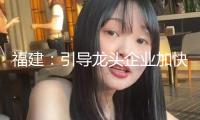 福建：引導(dǎo)龍頭企業(yè)加快布局氫能工業(yè)，加大對工業(yè)鏈配套企業(yè)支撐力度