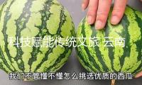 科技賦能傳統(tǒng)文旅 云南旅游構建交融開展新格局