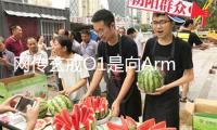 網(wǎng)傳玄戒O1是向Arm定制的芯片？小米公司回應(yīng)：這完全是流言
