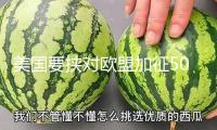 美國要挾對歐盟加征50%關(guān)稅 歐洲面對的經(jīng)濟(jì)危險(xiǎn)有多大？