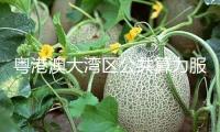 粵港澳大灣區(qū)公共算力服務(wù)渠道發(fā)動建造