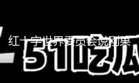 紅十字世界委員會(huì)說(shuō)剛果（金）東部醫(yī)療系統(tǒng)接近潰散