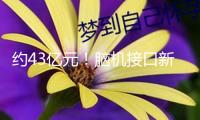 約43億元！腦機接口新打破 上市公司搶占開展先機