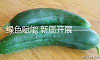 綠色賦能 新質(zhì)開展——2025我國工業(yè)搬運(yùn)開展對(duì)接活動(dòng)（內(nèi)蒙古）行將舉行
