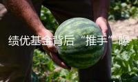 績優(yōu)基金背后“推手”曝光 醫(yī)藥投資“王者歸來” 引多家公募競折腰