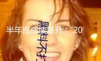 半年報(bào)成績暴升 “20cm”漲停！凈利有望暴增17倍 超跌優(yōu)質(zhì)DeepSeek概念股曝光