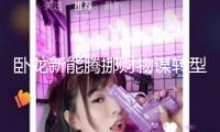 臥龍新能騰挪財物謀轉型 相關買賣被問詢