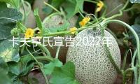 卡夫亨氏宣告2027年前在美國商場全面篩選組成色素產(chǎn)品