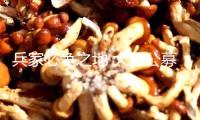 兵家必爭(zhēng)之地 大型公募爭(zhēng)相布局財(cái)富辦理子公司