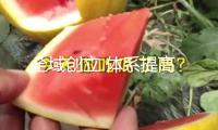 全域創(chuàng)立 體系提高