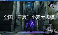 全國(guó)“三夏”小麥大規(guī)模機(jī)收根本完畢