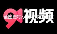 全國(guó)夏糧小麥?zhǔn)粘蛇M(jìn)展過半