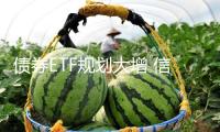 債券ETF規(guī)劃大增 信譽債產(chǎn)品成擴容主力