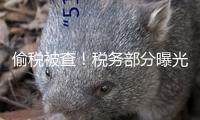 偷稅被查！稅務(wù)部分曝光3起自然人納稅人偷稅案子