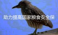 助力提高國家糧食安全保證才能 國家糧食工業(yè)科技立異聯(lián)盟建立