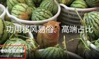 功用移風(fēng)易俗、高端占比增加 以舊換新拉動(dòng)手機(jī)消費(fèi)晉級(jí)