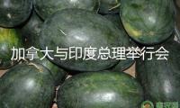 加拿大與印度總理舉行會談 重啟嚴(yán)重兩年的印加聯(lián)系
