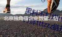 北京獨角獸企業(yè)數(shù)量、估值多年全國榜首，正構(gòu)建長效生態(tài)