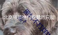 北交所頂格打新竟然只能中碎股