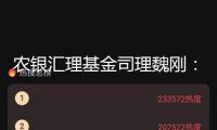 農(nóng)銀匯理基金司理魏剛：TMT全面反彈時(shí)機(jī)降臨？