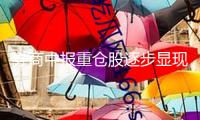 券商中報重倉股逐步顯現 組織建言緊抓景氣改進方向