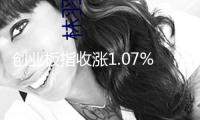 創(chuàng)業(yè)板指收漲1.07% 全商場超4100股上漲