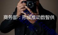 商務(wù)部：形成推動(dòng)數(shù)智供應(yīng)鏈發(fā)展的合力