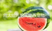 向太給兒媳買地養(yǎng)寵物 大方送孫子孫女Labubu
