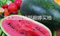 向太回應(yīng)給郭碧婷買地：我覺得人心肉做，期望全國的婆婆都愛媳婦