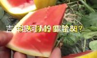吉祥銀河 M9 露臉，車長5.2 米，“冰箱彩電”全都有