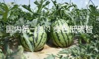 國(guó)內(nèi)第一艘！綠色低碳智能甲醇雙燃料集裝箱船今天交給
