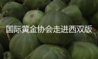國際黃金協(xié)會走進西雙版納，“黃金書屋”看護村莊孩子閱覽夢