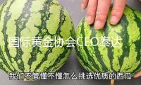 國際黃金協(xié)會CEO泰達(dá)維：“黃金247”方案勢在必行